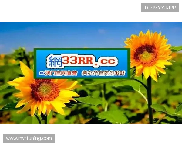 分析BG视讯在不同平台的支付方式多样性与提现速度,提升玩家资金周转效率的实用建议